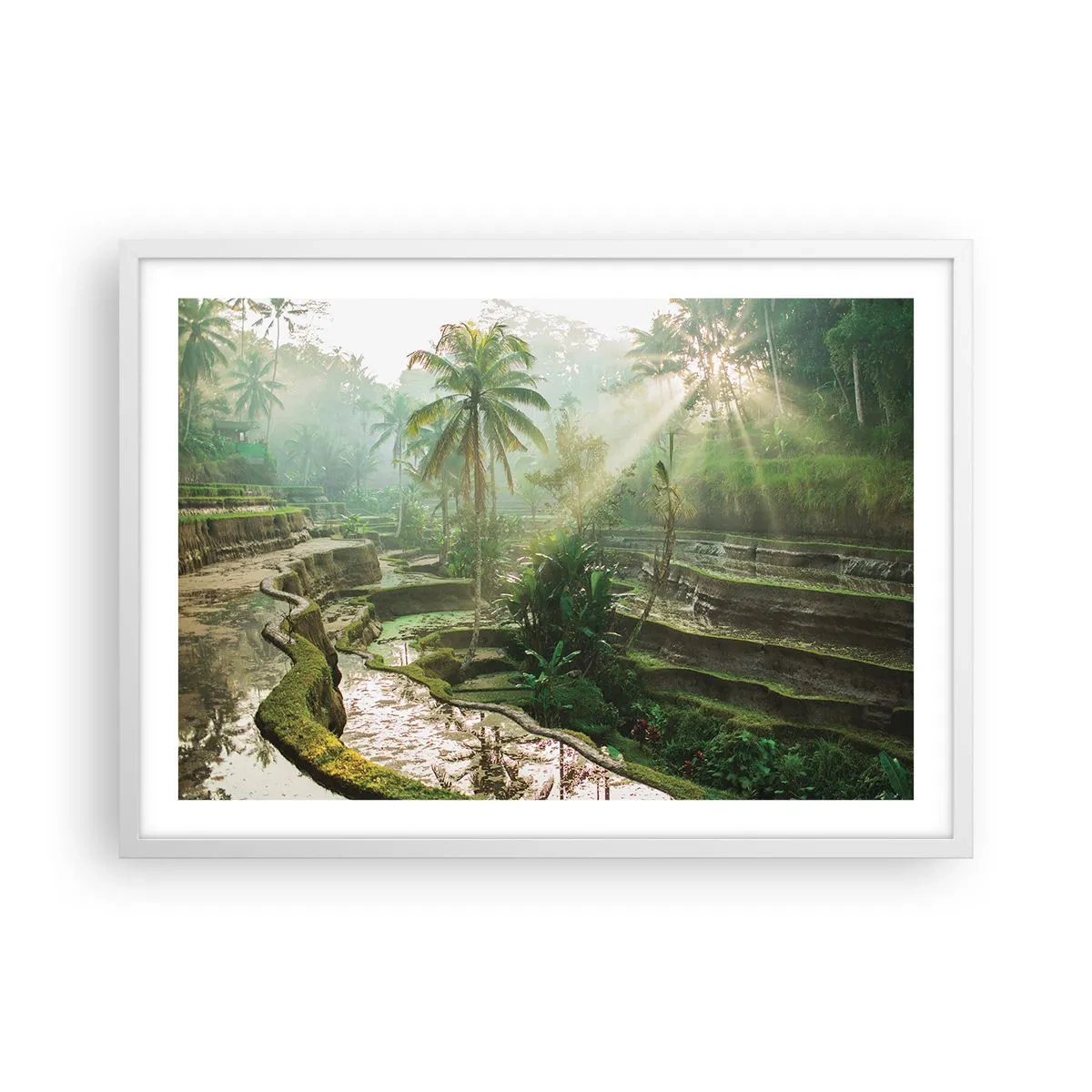 Poster in cornice bianca - Crescere al sole - 70x50 cm