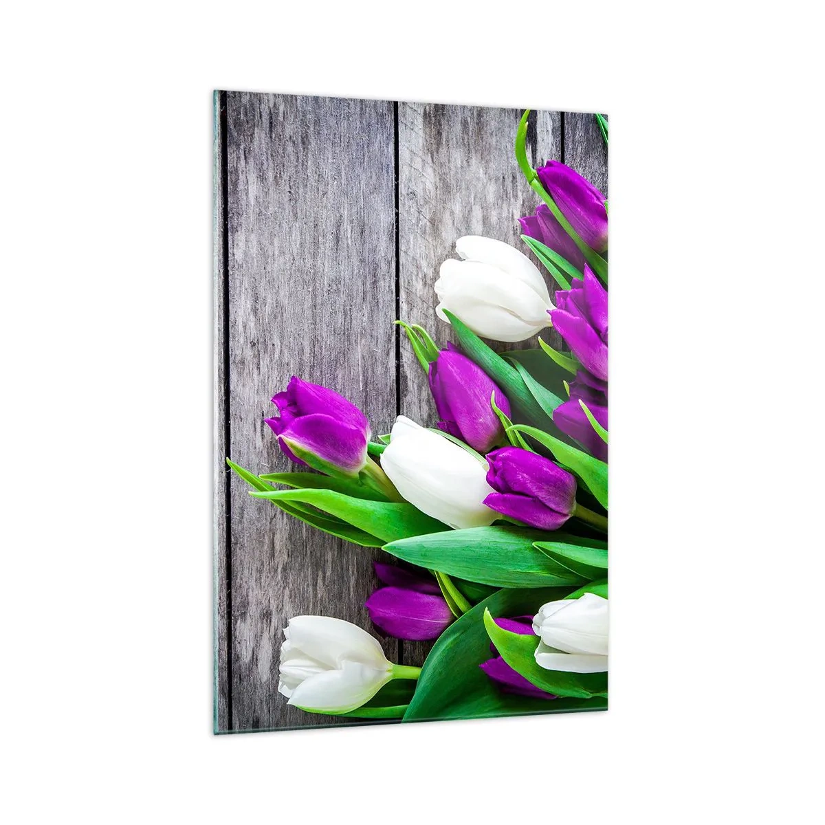 Quadro su vetro - Un bouquet di tulipani viola e bianchi su uno sfondo di legno - 70x100cm - Nella festa della primavera - Decorazione murale moderna per soggiorno e camera da letto ARTTOR