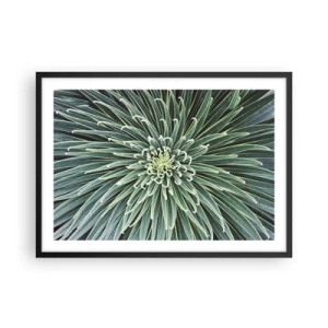 Poster in cornice nera - Disposizione simmetrica di foglie verdi che ricordano una stella - 70x50cm - La nascita delle stelle - Decorazione murale moderna per soggiorno e camera da letto ARTTOR