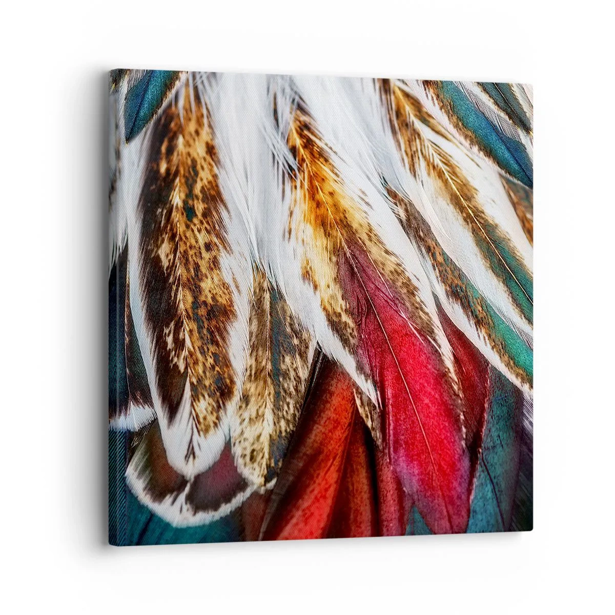 Quadro su tela - Stampe su Tela - I misteri del volo - 30x30 cm