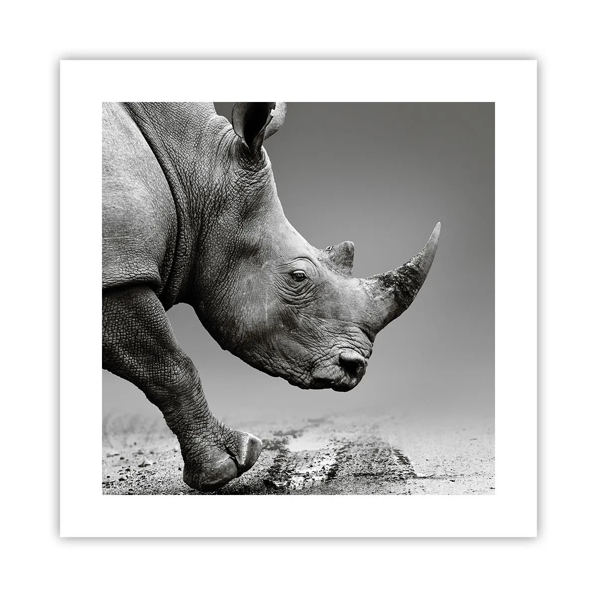 Poster - Forza irrefrenabile - 40x40 cm