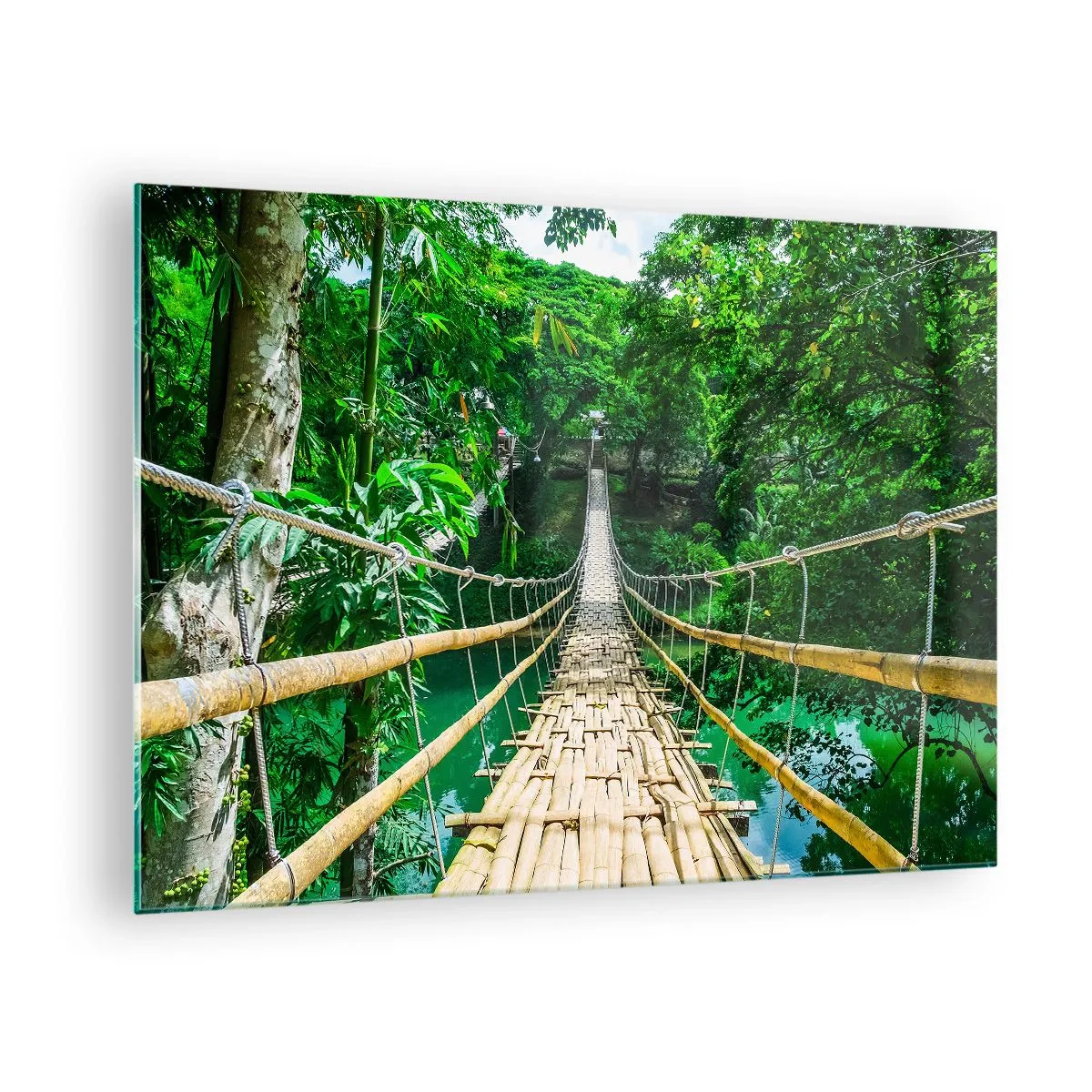 Quadro su vetro - Un ponte di bambù sospeso tra la vegetazione tropicale sopra un fiume - 70x50cm - Ponte sospeso sopra il verde - Decorazione murale moderna per soggiorno e camera da letto ARTTOR