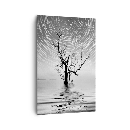 Quadro su tela - Stampe su Tela - Un albero nell'acqua sotto un cielo notturno con stelle in movimento - 80x120cm - Sinfonia della natura - Decorazione murale moderna per soggiorno e camera da letto ARTTOR