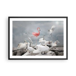 Poster in cornice nera - Un fenicottero rosa tra cigni bianchi sullo sfondo di un lago - 70x50cm - Come sono arrivato qui? - Decorazione murale moderna per soggiorno e camera da letto ARTTOR
