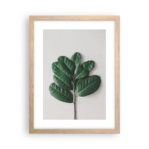 Poster in cornice rovere chiaro - Il disegno della natura stessa - 30x40 cm