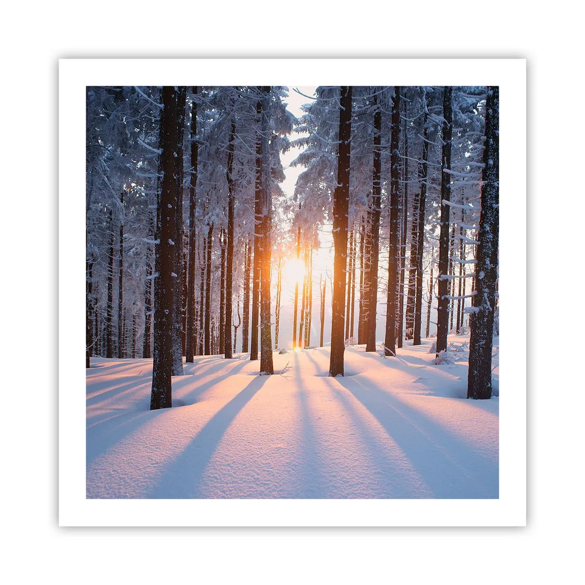Poster - Decisamente nero su bianco - 60x60 cm