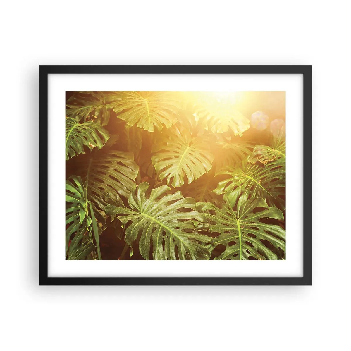 Poster in cornice nera - Entrando nel verde... - 50x40 cm