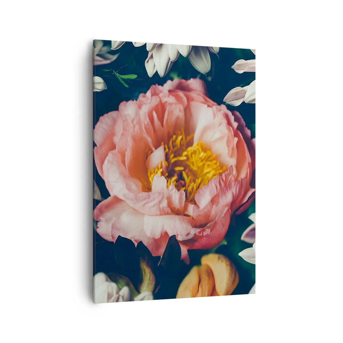 Quadro su tela - Stampe su Tela - Composizione floreale con peonia e crisantemi su sfondo scuro - 70x100cm - Con fasto barocco - Decorazione murale moderna per soggiorno e camera da letto ARTTOR