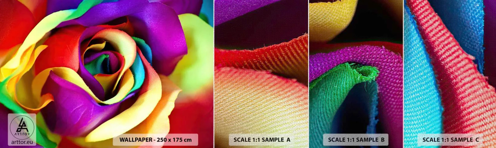 Campione di Fotomurale Premium Canvas - È impossibile - Astrazione, Fiore, Rosa colorata - 100x30 cm