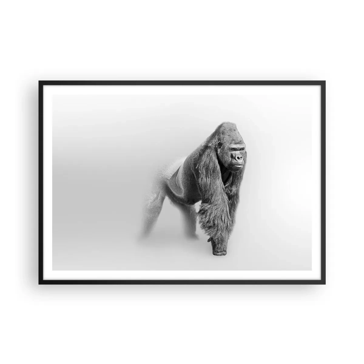 Poster in cornice nera - Gorilla in toni monocromatici su sfondo bianco - 100x70cm - Sicuro della propria forza - Decorazione murale moderna per soggiorno e camera da letto ARTTOR