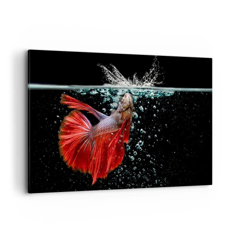 Quadro su tela - Stampe su Tela - Un magnifico betta nell'acqua su uno sfondo scuro - 100x70cm - Hai tre desideri - Decorazione murale moderna per soggiorno e camera da letto ARTTOR