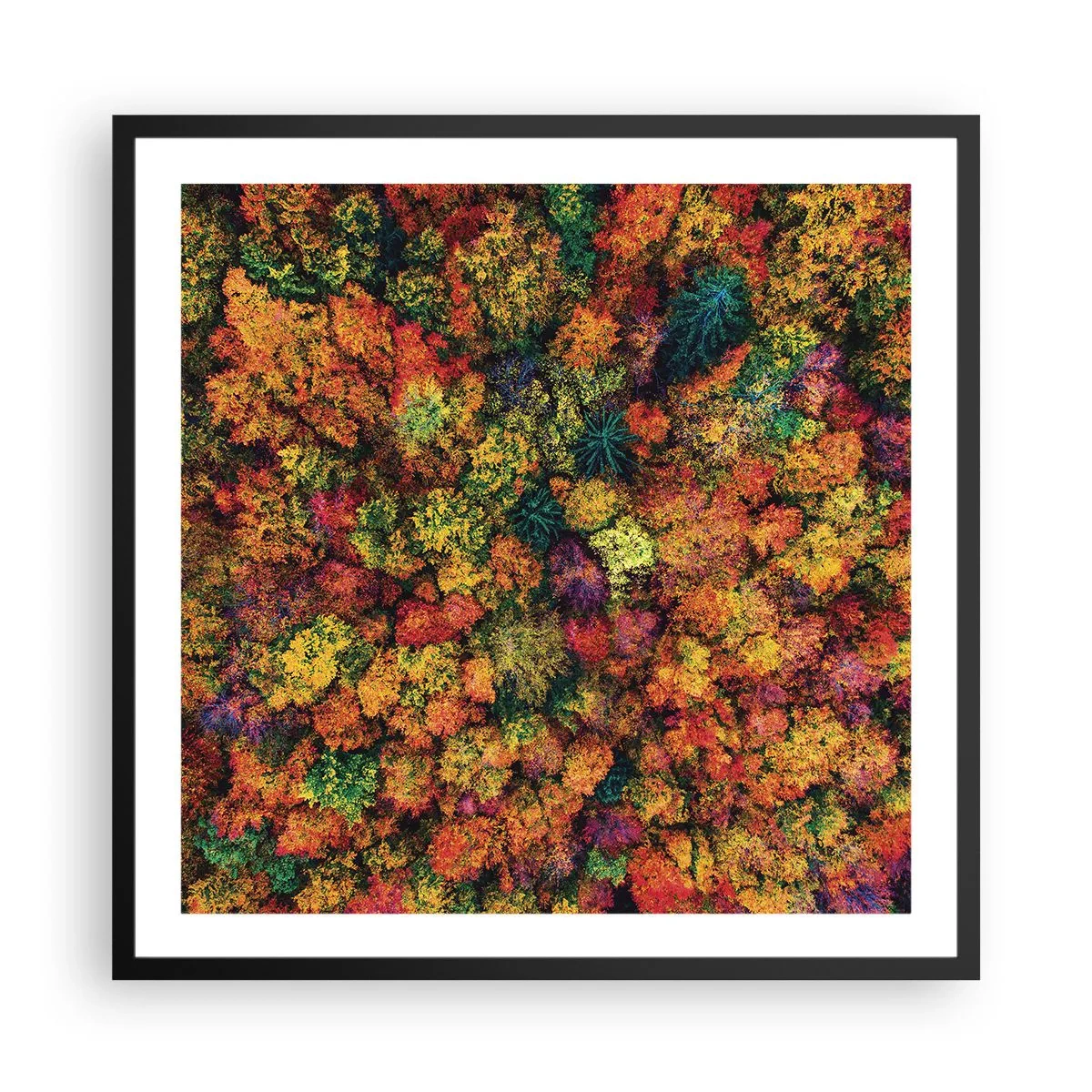 Poster in cornice nera - Il bouquet degli alberi d'autunno - 60x60 cm