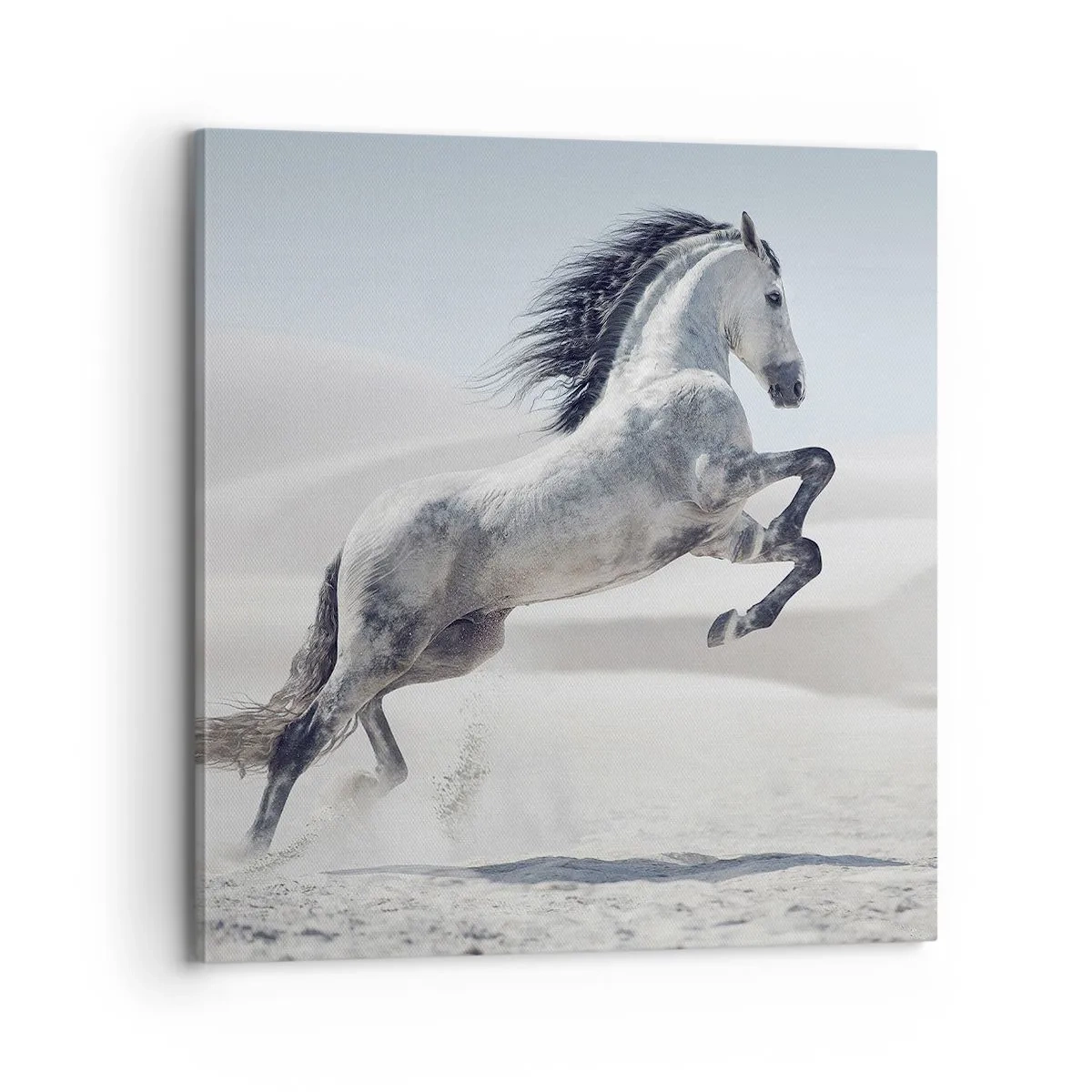 Quadro su tela - Stampe su Tela - Il principe arabo - 70x70 cm