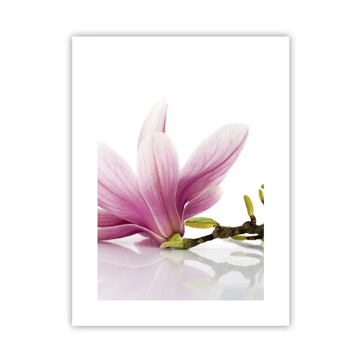 Poster - Delicati come un soffio di primavera - 30x40 cm