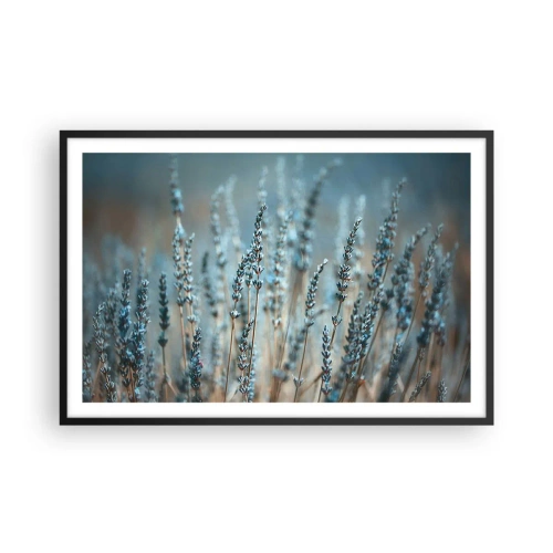 Poster in cornice nera - Campo profumato - 91x61 cm
