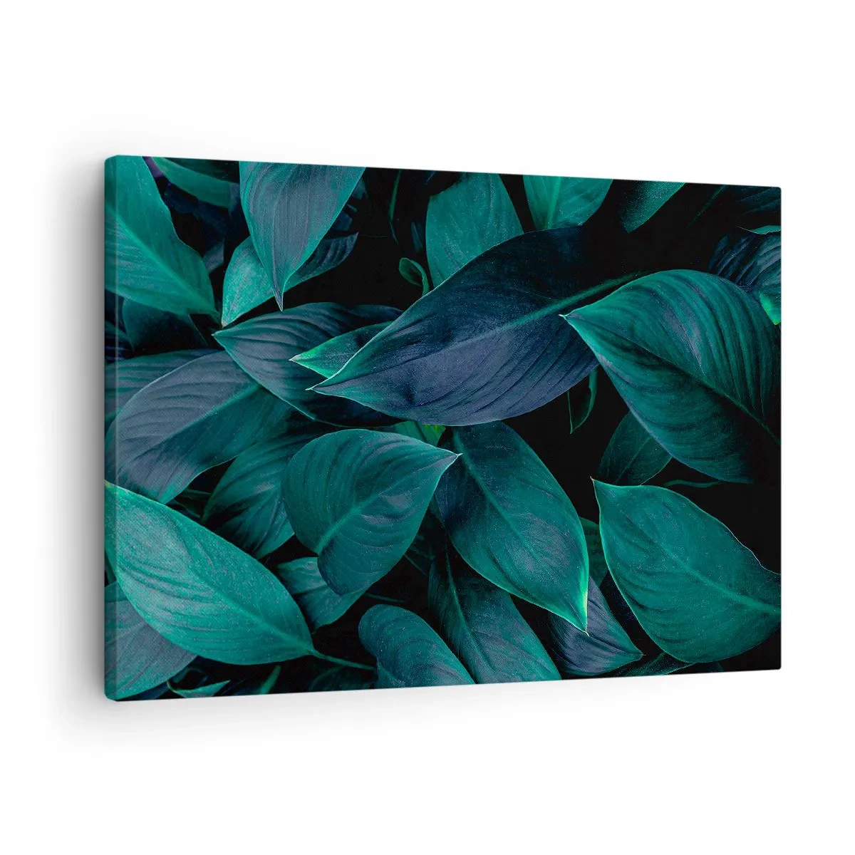 Quadro su tela - Stampe su Tela - Primo piano di foglie verdi con sfondo scuro - 70x50cm - Il verde puro - Decorazione murale moderna per soggiorno e camera da letto ARTTOR