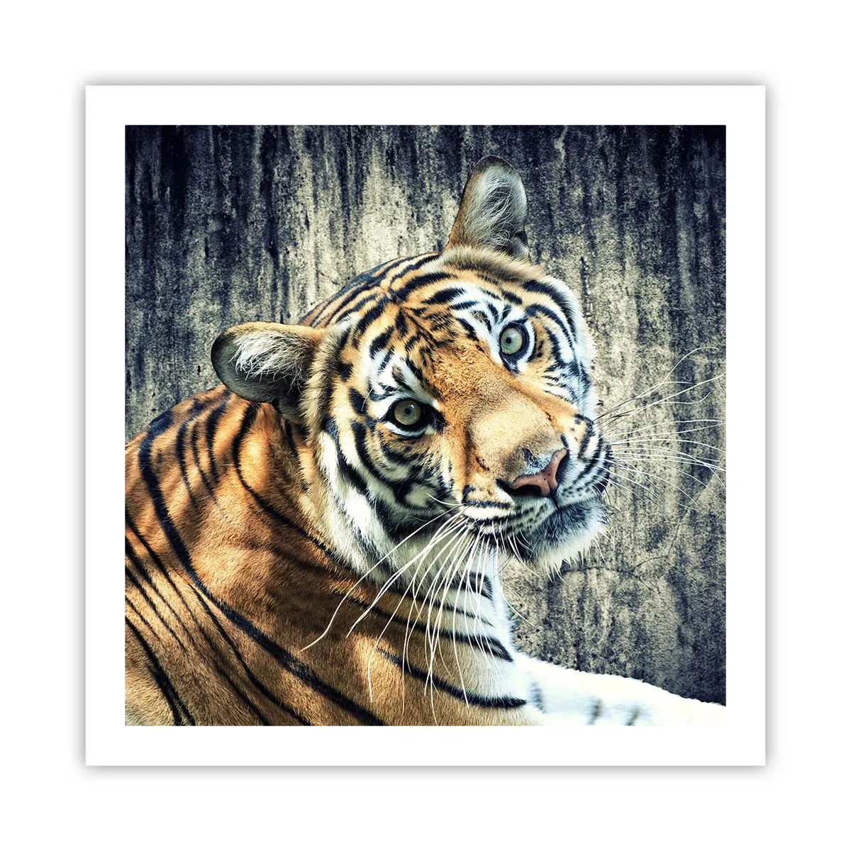 Poster - Ritratto nei flussi di luce - 60x60 cm