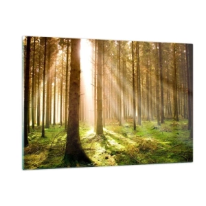 Quadro su vetro - Raggi di sole che penetrano attraverso gli alberi nella foresta - 120x80cm - Adesso appaiono gli elfi - Decorazione murale moderna per soggiorno e camera da letto ARTTOR