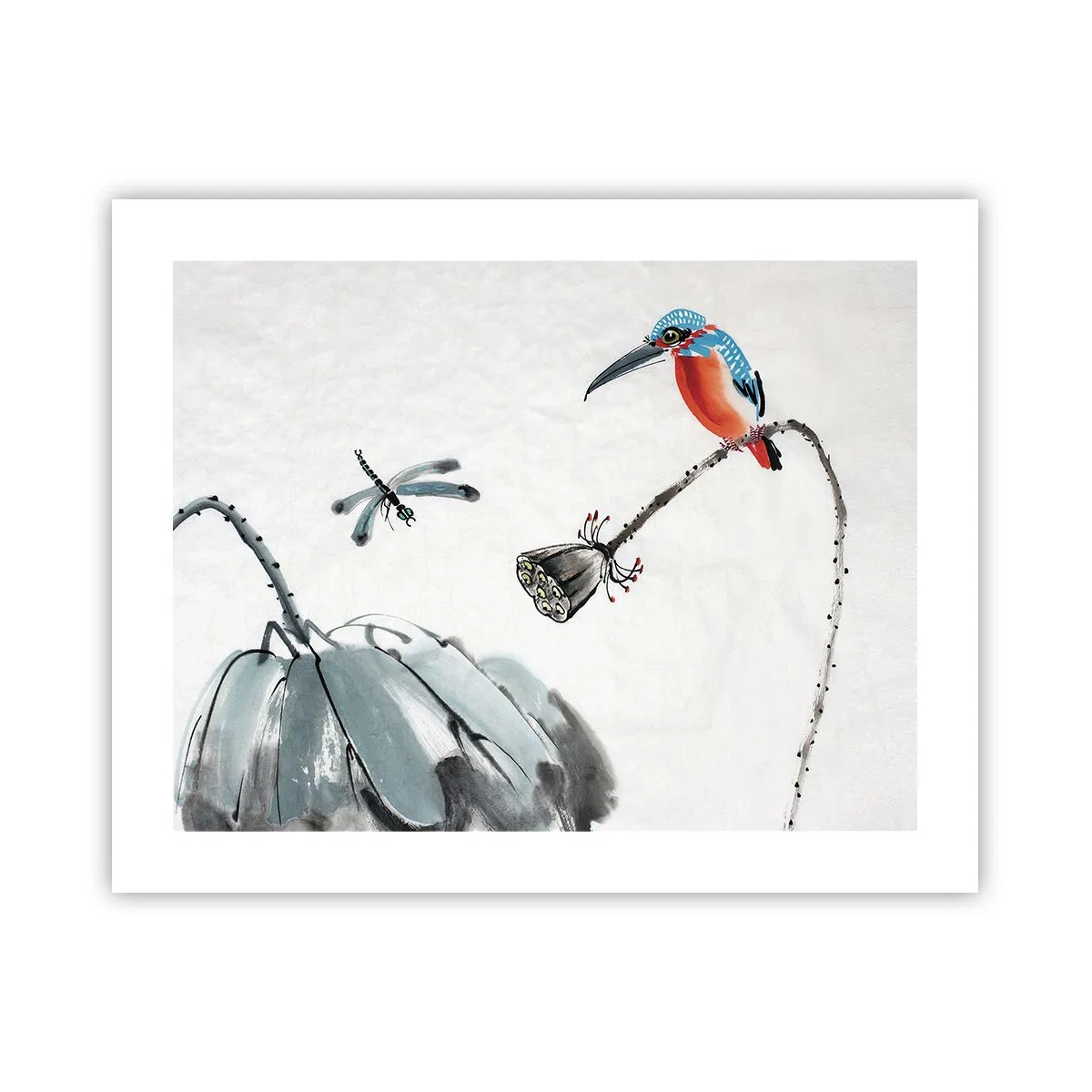 Poster - La vita del prato - 50x40 cm