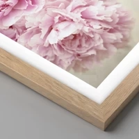 Rovere chiaro