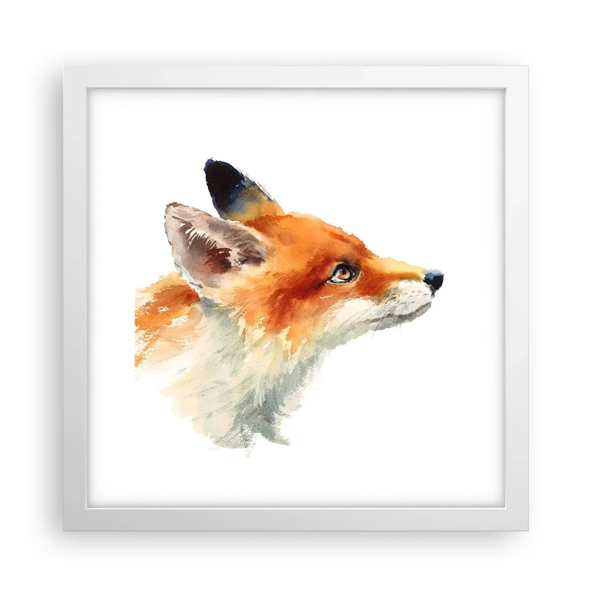 Poster in cornice bianca - La prudenza non è mai troppa - 30x30 cm