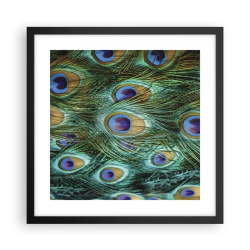 Poster in cornice nera - Lo sguardo del pavone - 40x40 cm