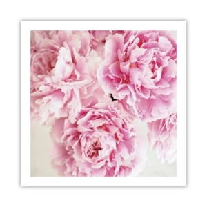 Poster - Nel fasto rosa - 60x60 cm