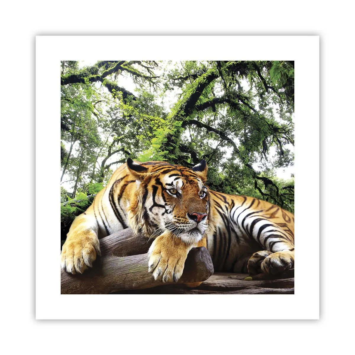 Poster - Con espressioni di stima - 40x40 cm