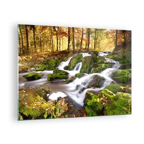 Quadro su vetro - Un ruscello nella foresta con cascate in un paesaggio autunnale - 70x50cm - Rapido nel bosco autunnale - Decorazione murale moderna per soggiorno e camera da letto ARTTOR