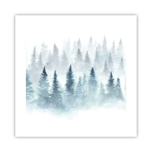 Poster - Avvolti nella nebbia - 40x40 cm