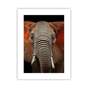 Poster - Sono selvaggio e tu? - 30x40 cm