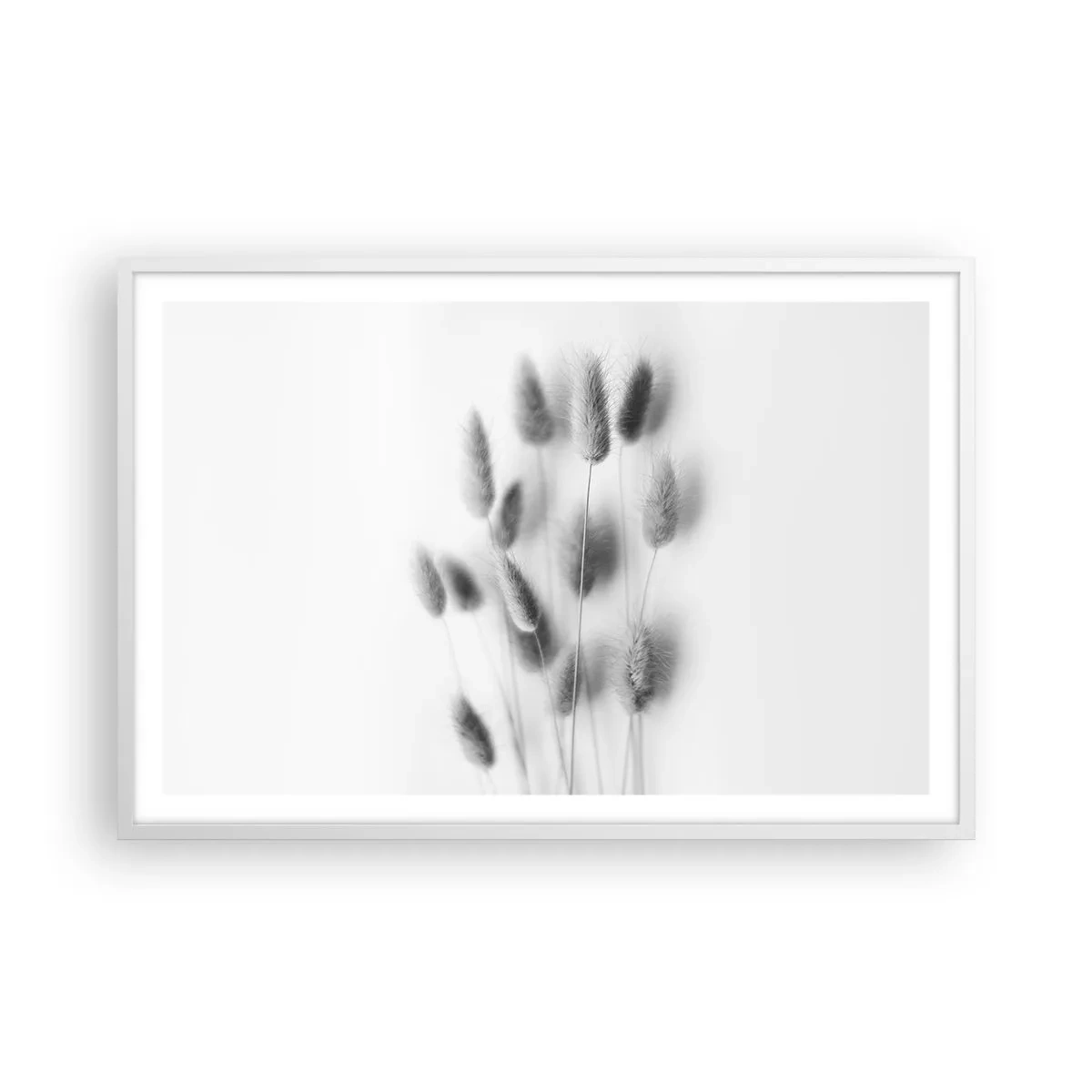 Poster in cornice bianca - Erba soffice - 91x61 cm
