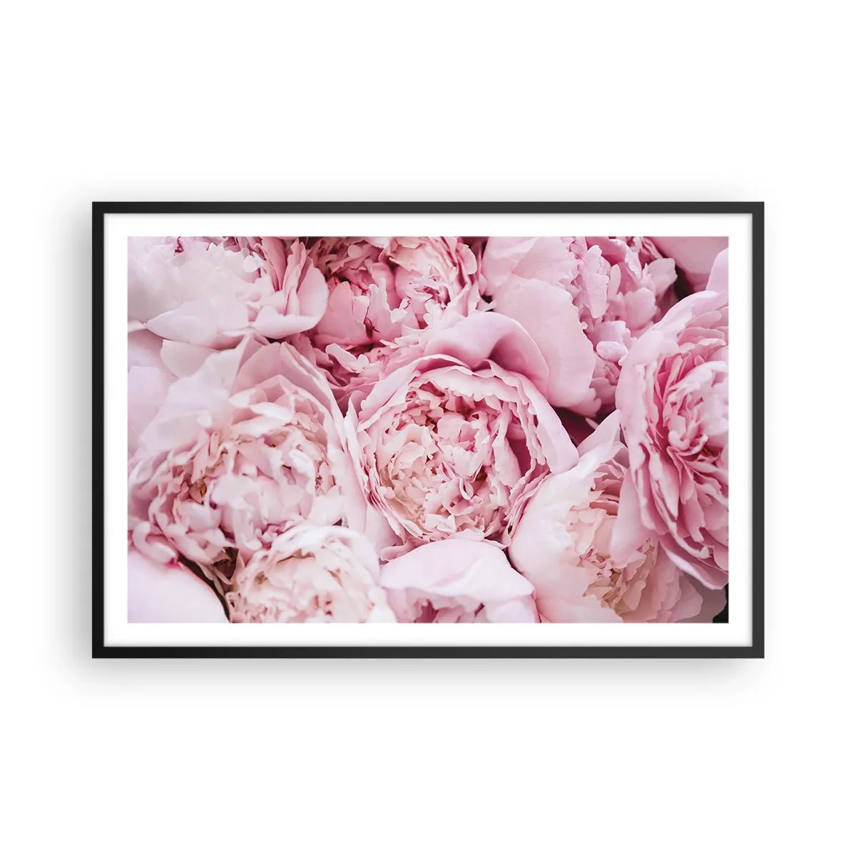 Poster in cornice nera - Morbide e profumate - 91x61 cm
