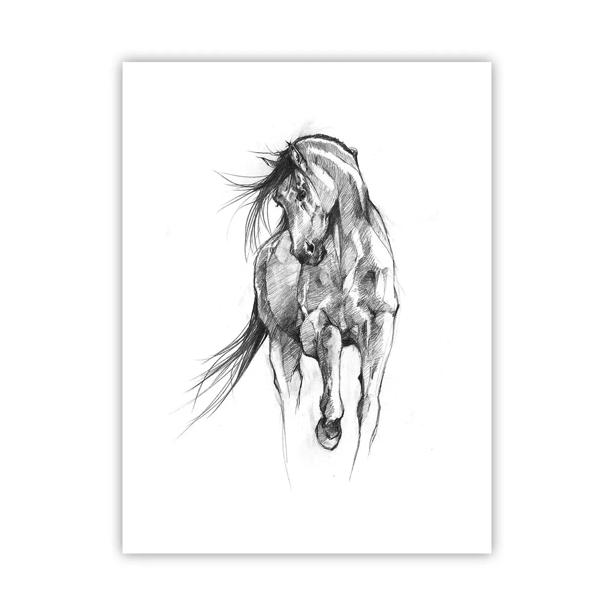 Poster - Trotto aggraziato - 30x40 cm