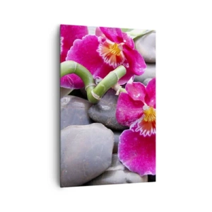 Quadro su tela - Stampe su Tela - Orchidee rosa su uno sfondo di pietre lisce - 80x120cm - Fresco e calore - Decorazione murale moderna per soggiorno e camera da letto ARTTOR