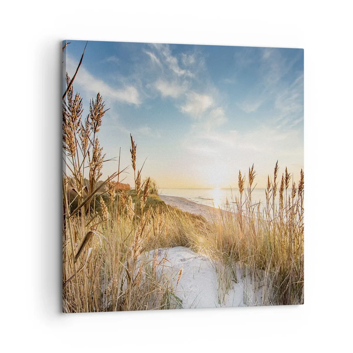 Quadro su tela - Stampe su Tela - Spiaggia del nord - 60x60 cm