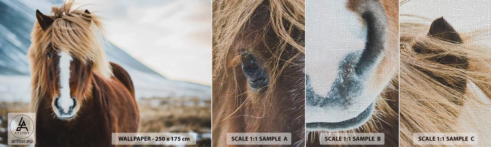 Campione di Fotomurale Premium Canvas - Senti la libertà? - Cavallo, Natura, Animali - 100x30 cm