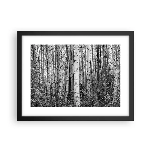 Poster in cornice nera - Colonnato di betulle - 40x30 cm