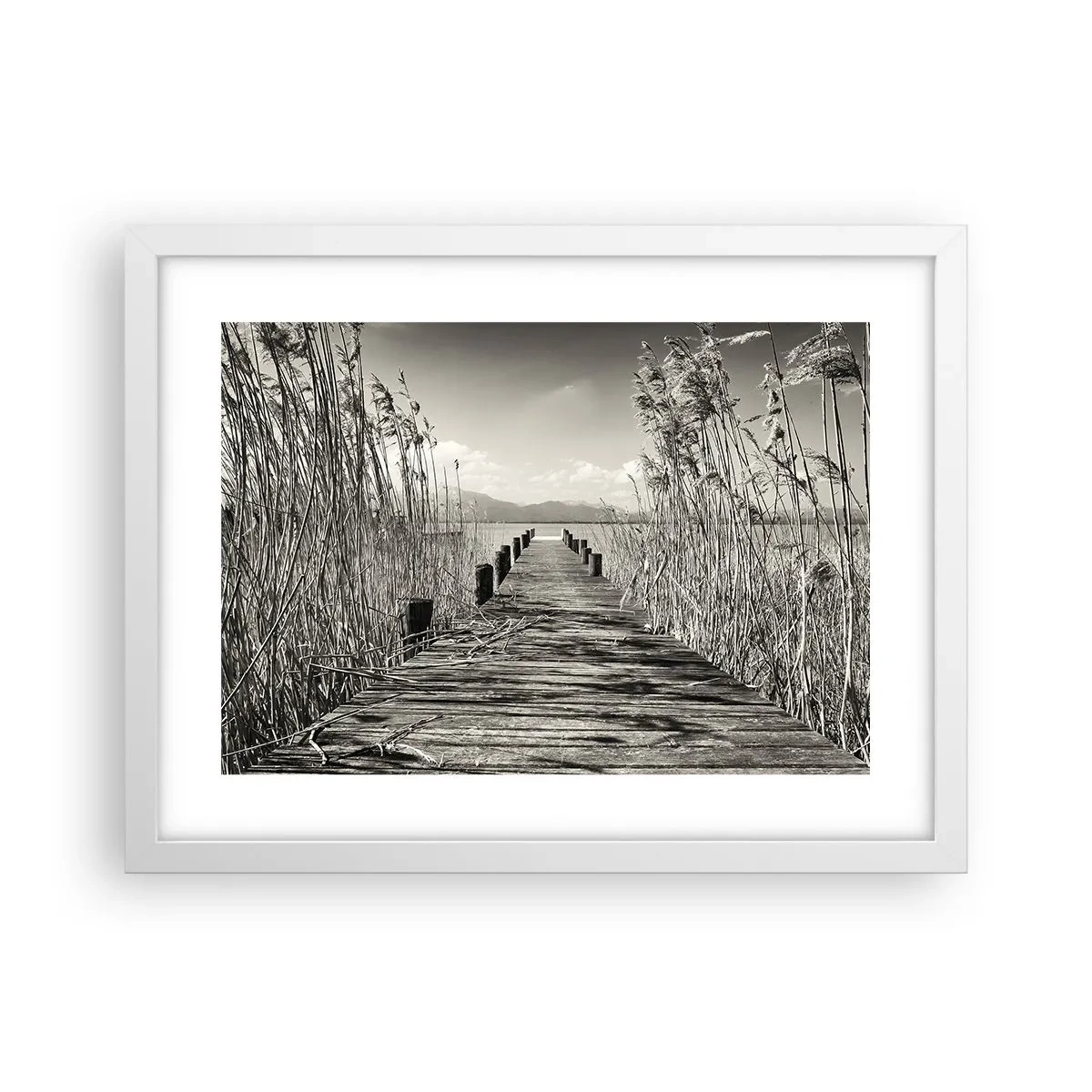 Poster in cornice bianca - Nel silenzio dell'erba - 40x30 cm