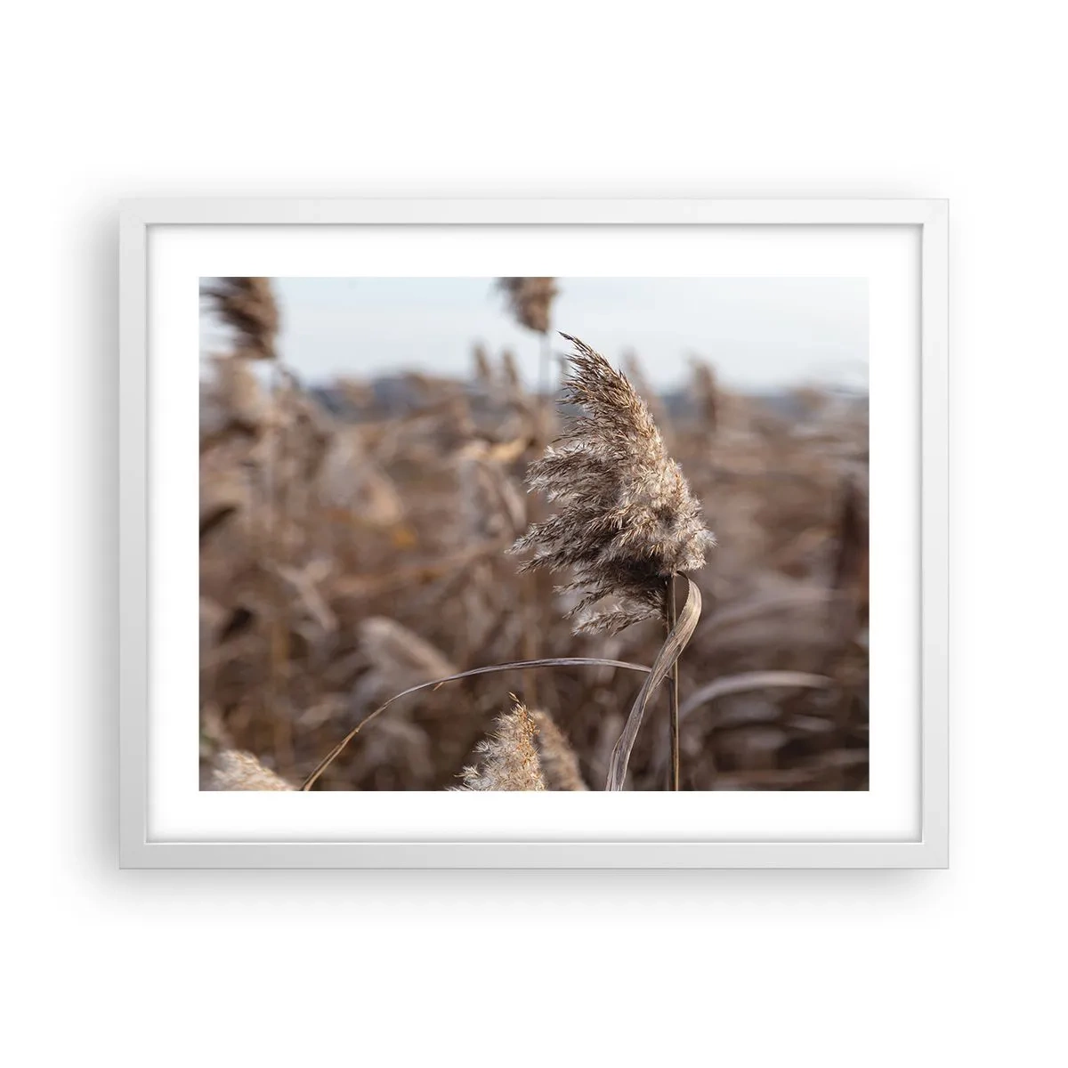 Poster in cornice bianca - è tempo di volare col vento - 50x40 cm