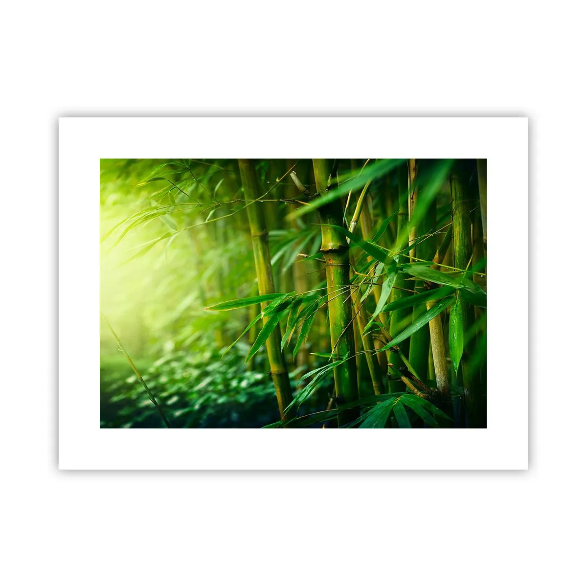 Poster - Conoscere il verde in sé - 40x30 cm