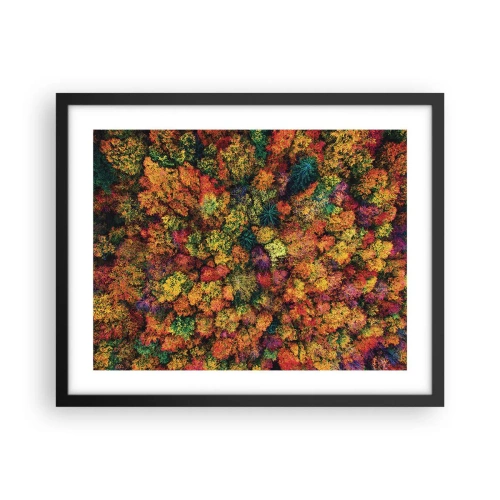 Poster in cornice nera - Il bouquet degli alberi d'autunno - 50x40 cm
