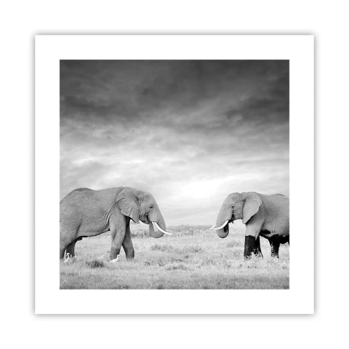 Poster - Grigio è bello - 40x40 cm