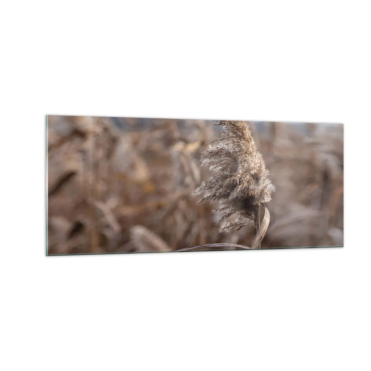 Quadro su vetro - è tempo di volare col vento - 100x40 cm