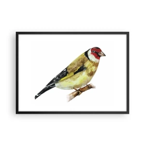 Poster in cornice nera - Un uccello con la testa rossa su un ramo - 70x50cm - Ritratto di uccello - Decorazione murale moderna per soggiorno e camera da letto ARTTOR
