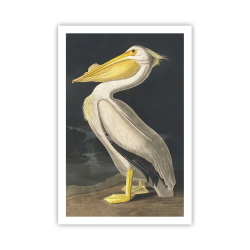 Poster - Pieno di orgoglio - 61x91 cm