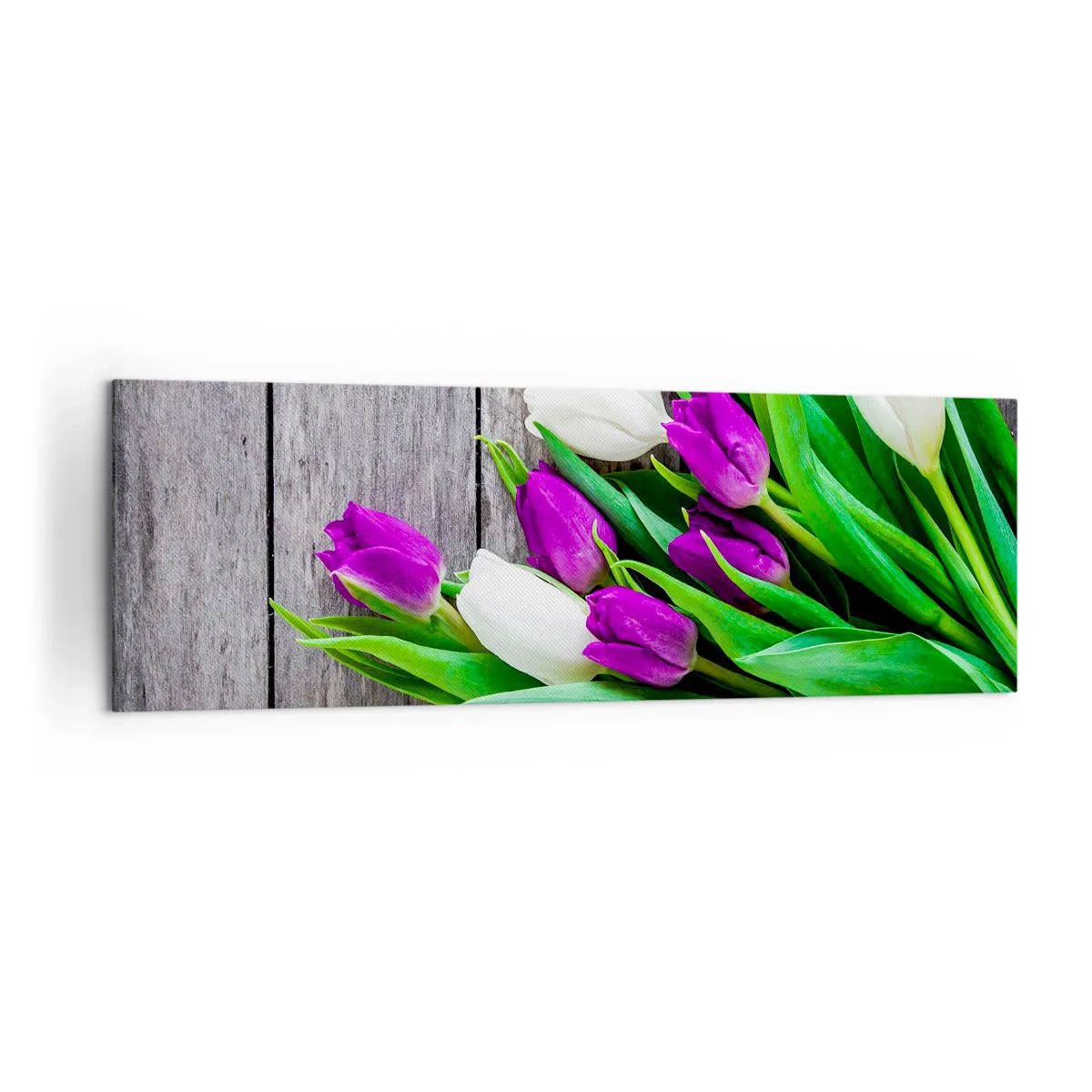 Quadro su tela - Stampe su Tela - Un bouquet di tulipani viola e bianchi su uno sfondo di legno - 160x50cm - Nella festa della primavera - Decorazione murale moderna per soggiorno e camera da letto ARTTOR