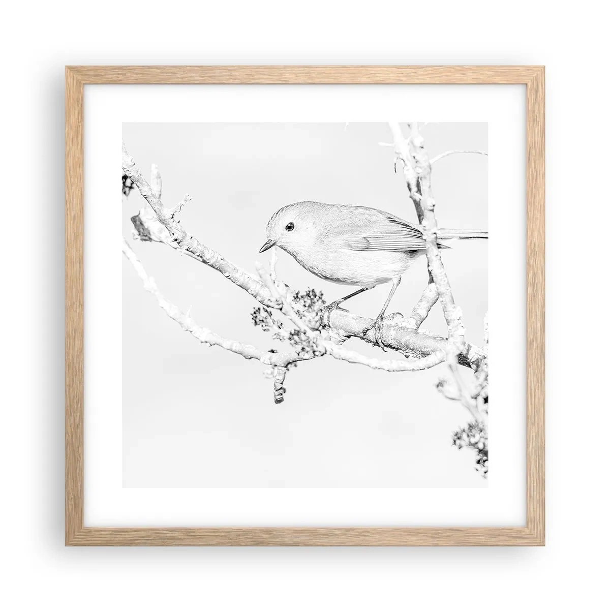 Poster in cornice rovere chiaro - Mattino invernale - 40x40 cm