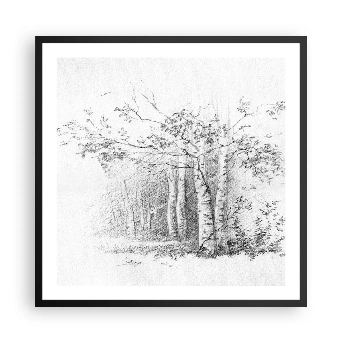 Poster in cornice nera - La luce della foresta di betulle - 60x60 cm