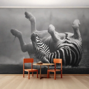 Fotomurale su misura Premium Sand - Morire dal ridere - Animali, Costolette, Natura